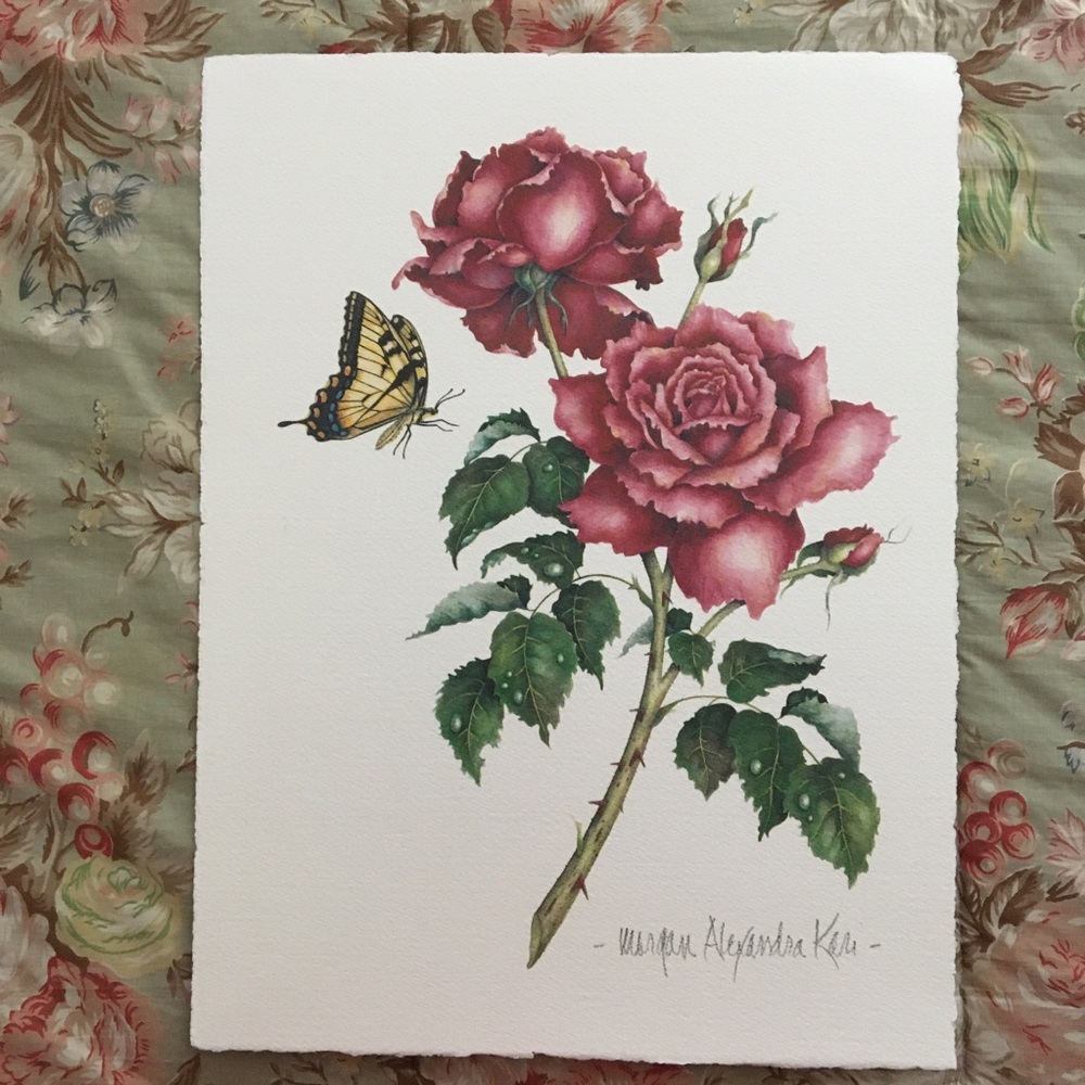 ‘Chrysler Imperial Hybrid’ Tea Rose